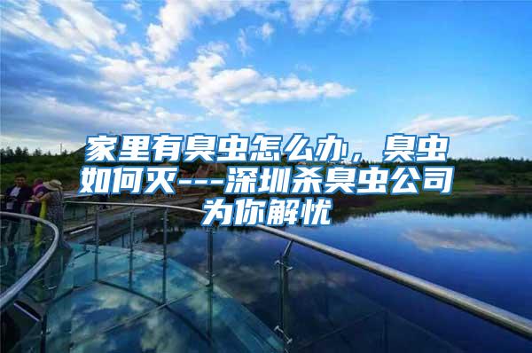 家里有臭蟲怎么辦,臭蟲如何滅---深圳殺臭蟲公司為你解憂
