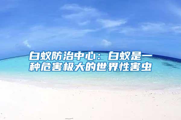 白蟻防治中心:白蟻是一種危害極大的世界性害蟲