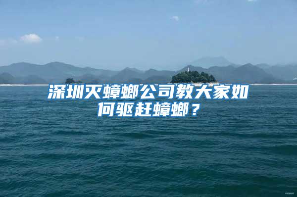 深圳滅蟑螂公司教大家如何驅趕蟑螂?