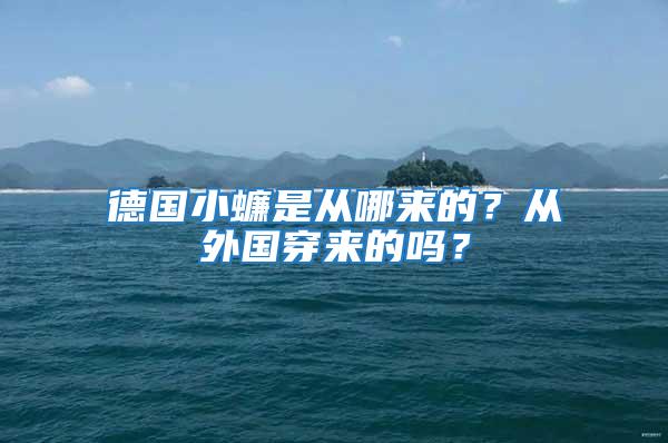 德國小蠊是從哪來的?從外國穿來的嗎?