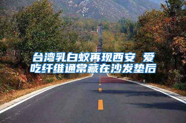 臺灣乳白蟻再現(xiàn)西安 愛吃纖維通常藏在沙發(fā)墊后