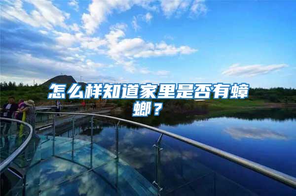 怎么樣知道家里是否有蟑螂?