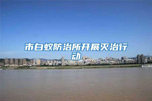 市白蟻防治所開展滅治行動(dòng)