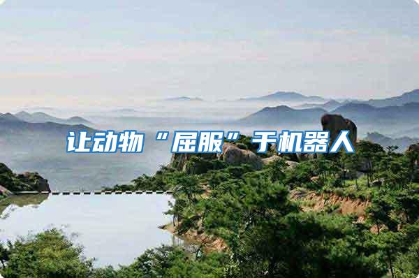 讓動(dòng)物“屈服”于機(jī)器人