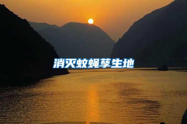 消滅蚊蠅孳生地