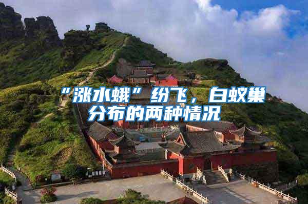 “漲水蛾”紛飛,白蟻巢分布的兩種情況