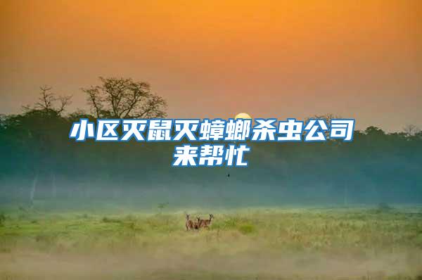 小區(qū)滅鼠滅蟑螂殺蟲公司來幫忙