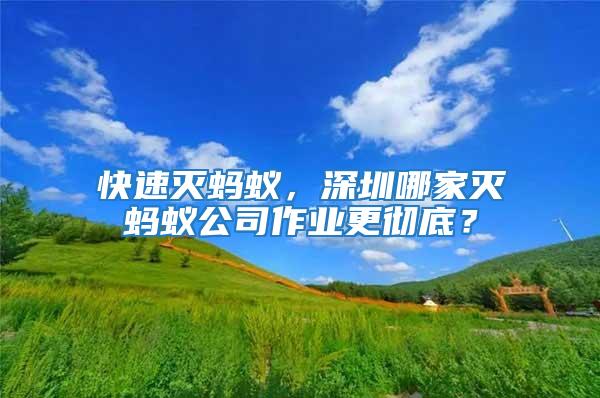 快速滅螞蟻,深圳哪家滅螞蟻公司作業更徹底?