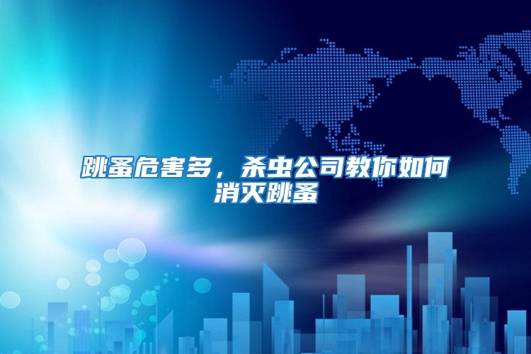 跳蚤危害多,殺蟲公司教你如何消滅跳蚤