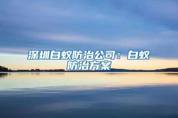 深圳白蟻防治公司:白蟻防治方案