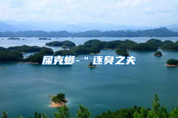 屎克螂-"逐臭之夫