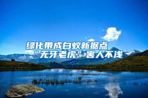 綠化帶成白蟻新?lián)c(diǎn) “無(wú)牙老虎”害人不淺