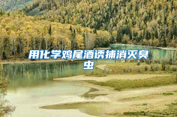 用化學雞尾酒誘捕消滅臭蟲