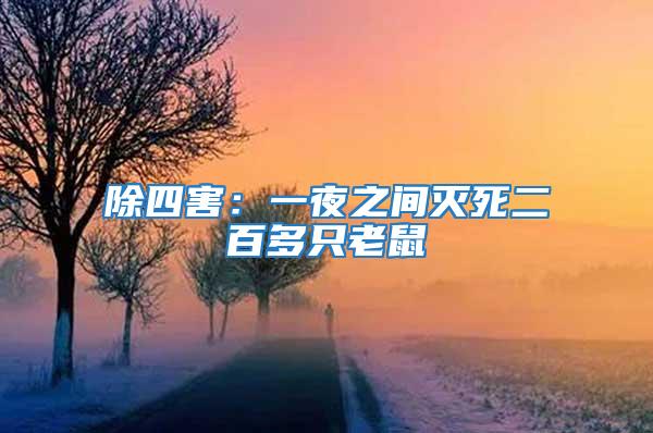 除四害:一夜之間滅死二百多只老鼠