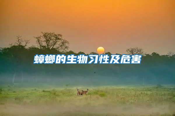 蟑螂的生物習性及危害