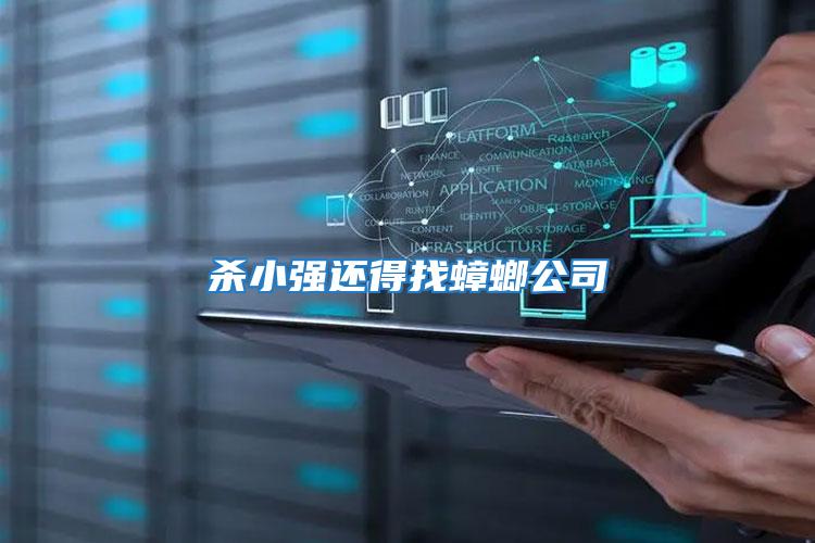 殺小強還得找蟑螂公司