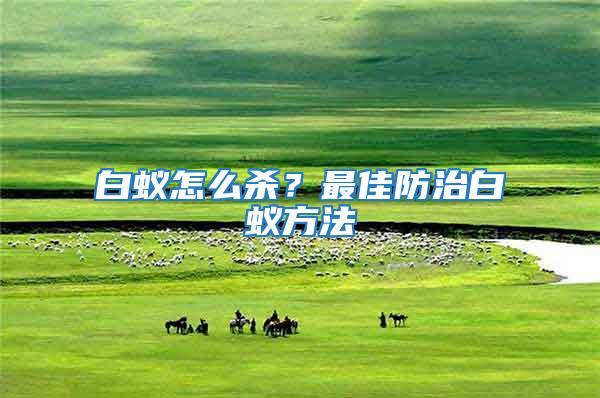 白蟻怎么殺?最佳防治白蟻方法