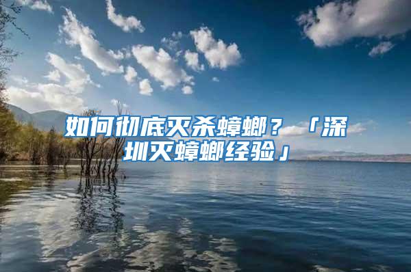 如何徹底滅殺蟑螂?「深圳滅蟑螂經驗」