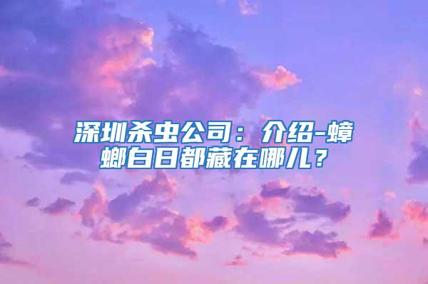 深圳殺蟲公司：介紹-蟑螂白日都藏在哪兒？