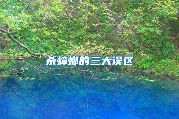 殺蟑螂的三大誤區