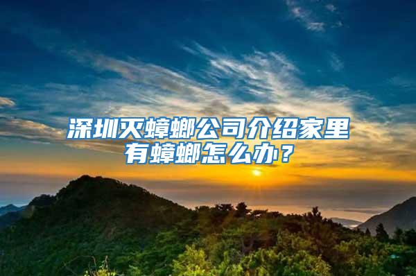 深圳滅蟑螂公司介紹家里有蟑螂怎么辦？