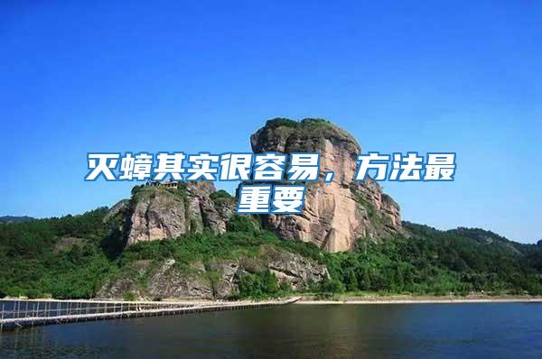 滅蟑其實很容易，方法最重要