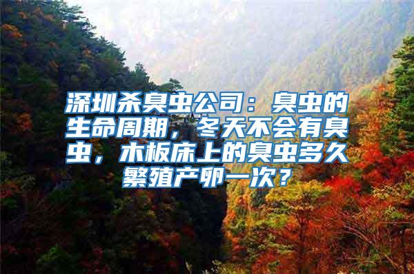 深圳殺臭蟲公司：臭蟲的生命周期，冬天不會有臭蟲，木板床上的臭蟲多久繁殖產(chǎn)卵一次？