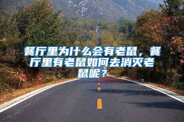 餐廳里為什么會有老鼠,餐廳里有老鼠如何去消滅老鼠呢?