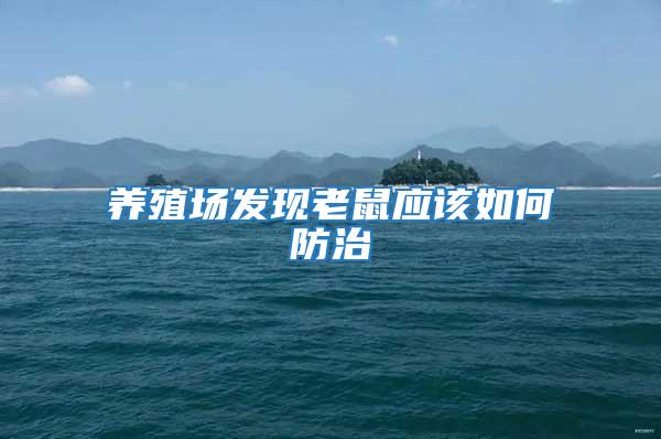養殖場發現老鼠應該如何防治