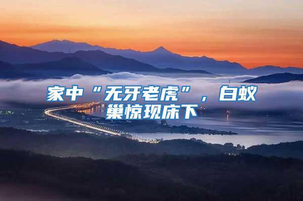 家中“無(wú)牙老虎”,白蟻巢驚現(xiàn)床下