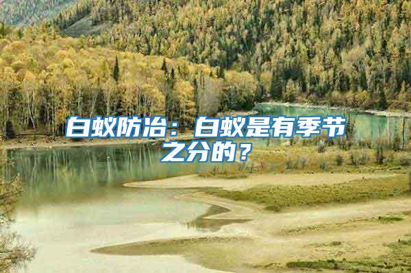 白蟻防冶:白蟻是有季節之分的?