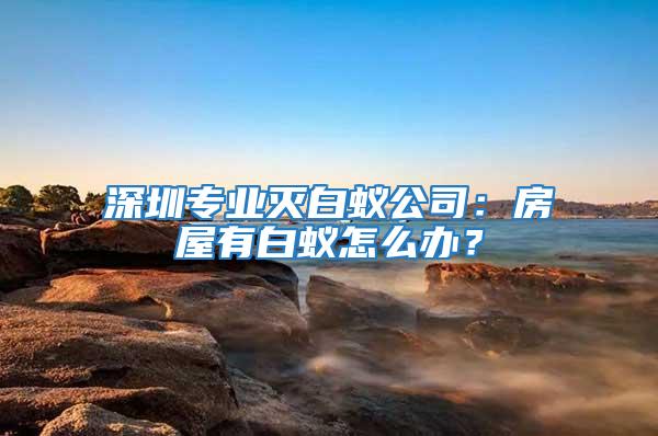 深圳專業滅白蟻公司:房屋有白蟻怎么辦?