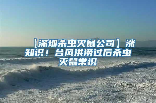 【深圳殺蟲滅鼠公司】漲知識！臺風洪澇過后殺蟲滅鼠常識