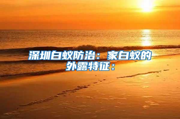 深圳白蟻防治:家白蟻的外露特征: