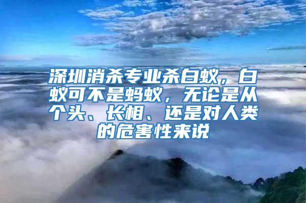 深圳消殺專業殺白蟻，白蟻可不是螞蟻，無論是從個頭、長相、還是對人類的危害性來說
