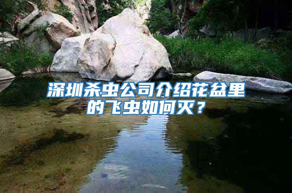 深圳殺蟲公司介紹花盆里的飛蟲如何滅?