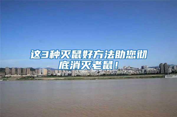 這3種滅鼠好方法助您徹底消滅老鼠!