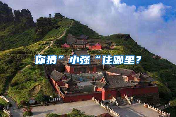 你猜”小強“住哪里?