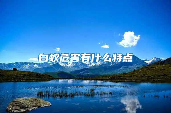 白蟻危害有什么特點(diǎn)