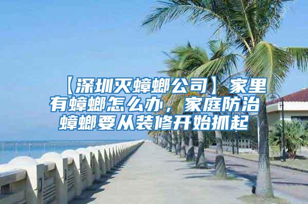 【深圳滅蟑螂公司】家里有蟑螂怎么辦,家庭防治蟑螂要從裝修開始抓起