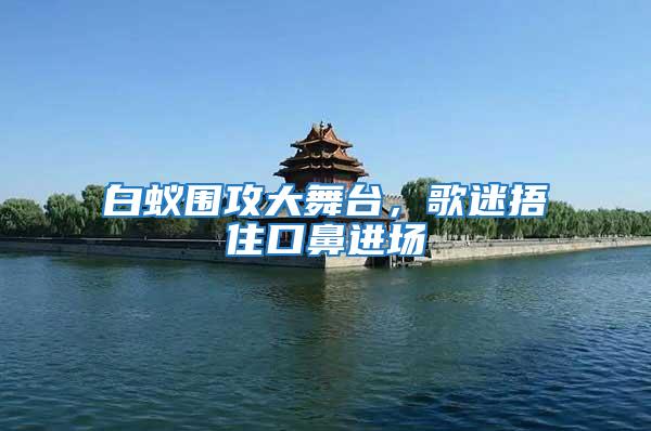 白蟻圍攻大舞臺(tái),歌迷捂住口鼻進(jìn)場(chǎng)