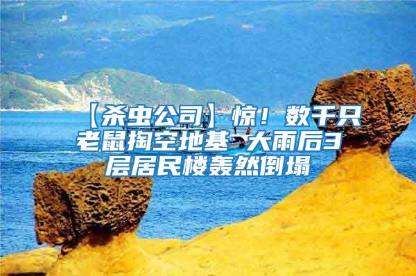 【殺蟲公司】驚!數千只老鼠掏空地基 大雨后3層居民樓轟然倒塌