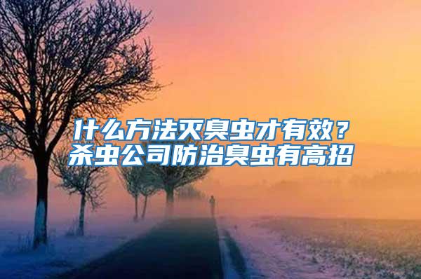 什么方法滅臭蟲才有效?殺蟲公司防治臭蟲有高招