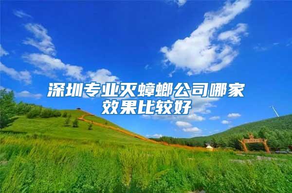 深圳專業滅蟑螂公司哪家效果比較好
