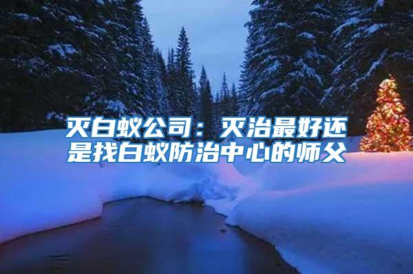 滅白蟻公司:滅治最好還是找白蟻防治中心的師父
