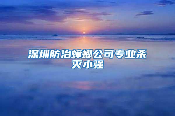 深圳防治蟑螂公司專業殺滅小強