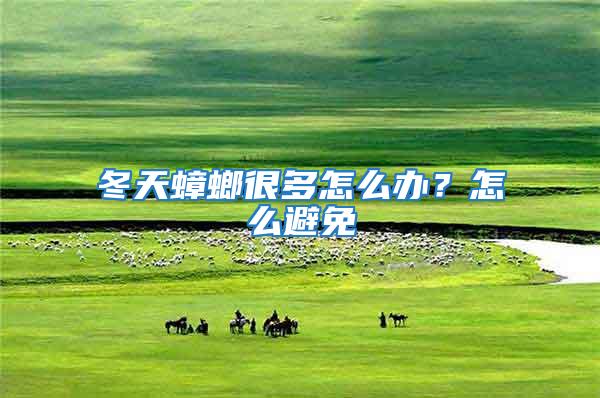 冬天蟑螂很多怎么辦?怎么避免