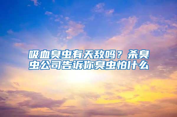 吸血臭蟲有天敵嗎?殺臭蟲公司告訴你臭蟲怕什么