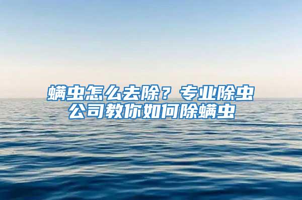 螨蟲怎么去除？專業除蟲公司教你如何除螨蟲