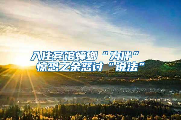 入住賓館蟑螂“為伴” 驚恐之余怒討“說法”